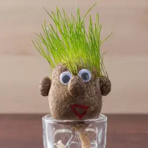 OUT OF THE BLUE KG Hlava s rastúcimi vláskami – vajíčko