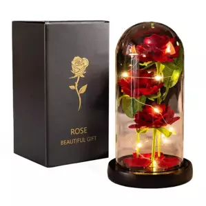 DexXer Sada 3 večných ruží v skle s LED osvetlením Eternal Rose
