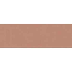 APE Ceramica Obklad Stay terakotový 20 x 60 cm