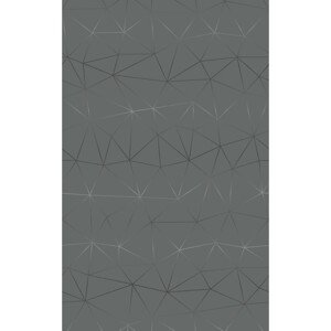 d-c-fix Fólia samolepiaca Tico Silver, šírka 45 cm - metráž