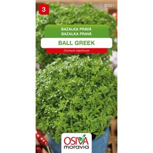 Osiva Moravia Semienka Bazalka pravá Ball Greek (Ocimum basilicum)