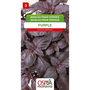 Osiva Moravia Semienka Bazalka pravá červená Purple (Ocimum basilicum)