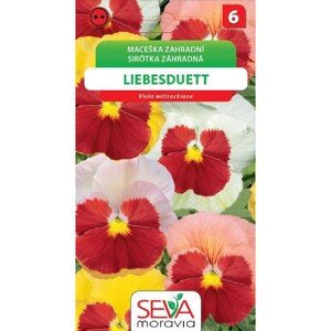 Aros Semienka Sirôtka záhradná Liebesduett (Viola wittrockiana)