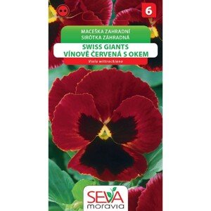 Semienka Sirôtka záhradná Swiss Giants vínovo červená (Viola wittrockiana)