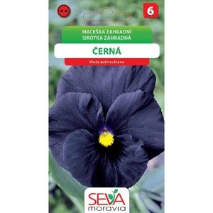 Aros Semienka Sirôtka záhradná čierna (Viola wittrockiana)