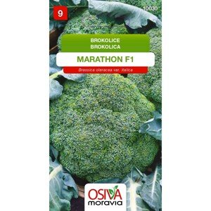 Aros Semienka Brokolica Marathon F1 (Brassica oleracea var. italica)