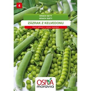 Semínka Hrach siaty "Zázrak z Kelvedonu" (Pisum sativum L. convar. medullare)