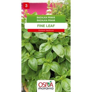 Osiva Moravia Semienka Bazalka pravá Fine Leaf (Ocimum basilicum)