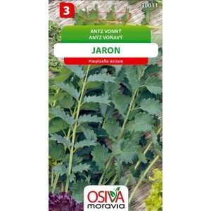 Osiva Moravia Semienka Aníz voňavý Jaron (Pimpinella anisum)