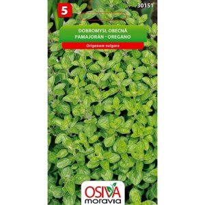 Osiva Moravia Semienka Pamajorán/Oregano (Origanum vulgare)