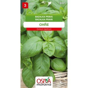 Osiva Moravia Semienka Bazalka pravá Ohre (Ocimum basilicum)