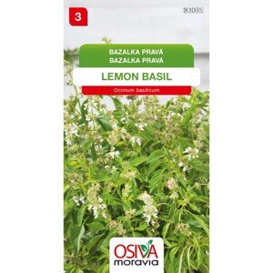 Osiva Moravia Semienka Bazalka pravá Lemon Basil (Ocimum basilicum)