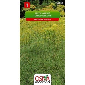 Osiva Moravia Semienka Fenikel obyčajný (Peucedanum luxurians)