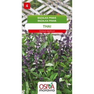 Osiva Moravia Semienka Bazalka pravá Thai (Ocimum basilicum)