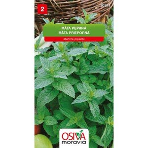 Osiva Moravia Semienka Mäta prieporná (Mentha piperita)