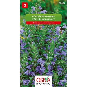 Osiva Moravia Semienka Včelník moldavský