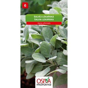 Osiva Moravia Semienka Šalvia lekárska (Salvia officinalis)