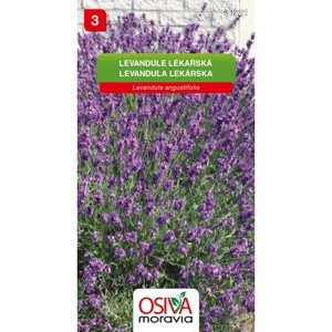 Osiva Moravia Semienka Levanduľa lekárska (Levandula angustifolia)
