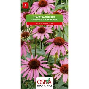 Osiva Moravia Semienka Echinacea purpurová (Echinacea purpurea)