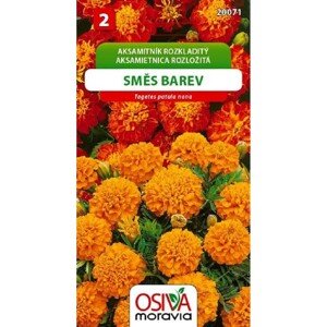 Osiva Moravia Semienka Aksamietnica rozložitá, zmes farieb (Tagetes nana)