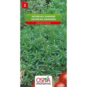 Osiva Moravia Semienka Saturejka záhradná (Satureja hortensis)