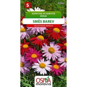 Aros Semienka Králik, zmes farieb (Chrysanthemum segetum)