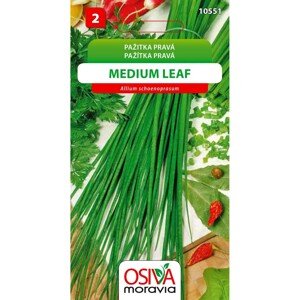 Aros Semienka Pažítka pravá Medium Leaf (Allium schoenoprasum)