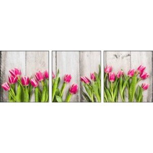 Bondecor 3dielna súprava obrazov Flora 30 x 90 cm