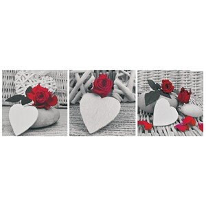 Bondecor 3dielna súprava obrazov Srdce 30 x 90 cm