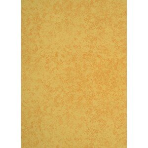 d-c-table Obrus Noblessa Luna Vanille 130 x 160 cm