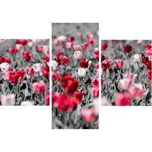 Bondecor 3dielna súprava obrazov Modern 30 x 42 cm