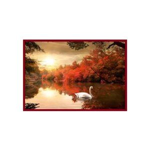 Bondecor Obraz Putframe Free 50 x 70 cm