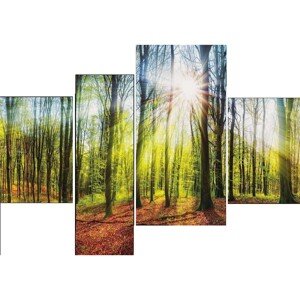 Bondecor 4dielna súprava obrazov Krajina 70 x 100 cm