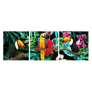 Bondecor 3dielna súprava obrazov Jungle 30 x 90 cm