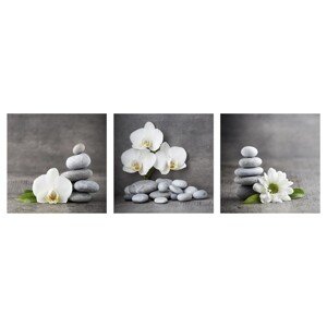 Bondecor 3dielna súprava obrazov Feng 30 x 90 cm