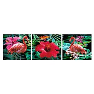 Bondecor 3dielna súprava obrazov Animal 30 x 90 cm