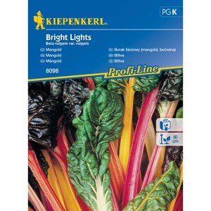 Kiepenkerl Semienka Mangold Bright Lights