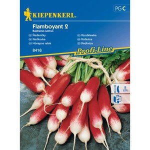 Kiepenkerl Semienka Reďkovka Flamboyant 2