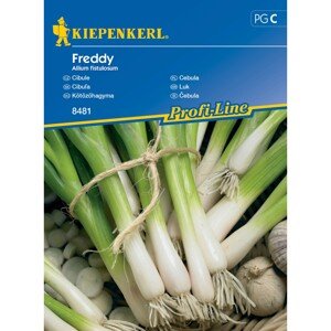 Kiepenkerl Semienka Cibuľa Freddy