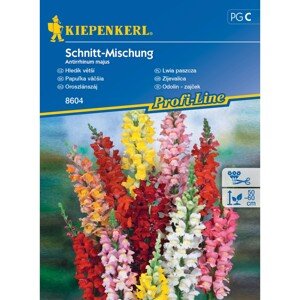 Kiepenkerl Semienka Papuľka väčšia