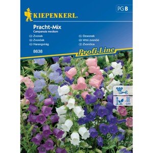 Kiepenkerl Semienka Zvonček Pracht mix