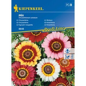 Kiepenkerl Semienka Chryzantéma mix