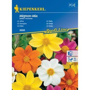 Kiepenkerl Semienka Georgína Migno mix