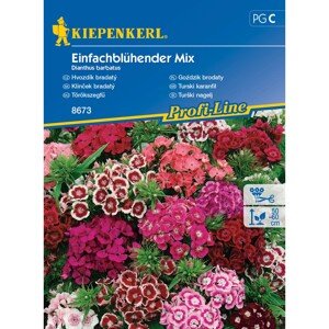 Kiepenkerl Semienka Klinček bradatý Einfachblühend