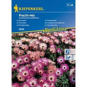 Kiepenkerl Semienka Kosmatec Pracht mix