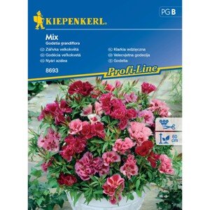 Kiepenkerl Semienka Godécia veľkokvetá mix
