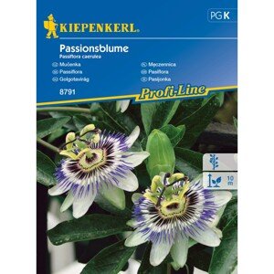 Kiepenkerl Semienka Passiflora