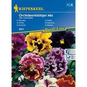 Kiepenkerl Semienka Sirôtka Orchideenblütiger mix