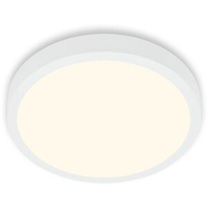 Brilo Stropné LED svietidlo Runa, 16 W, biele