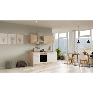 Flex-Well Kuchyňa Florida 210 cm/typ 12 - rúra/varná doska/digestor